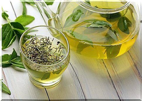 10 Surprising Health Benefits Of Green Tea