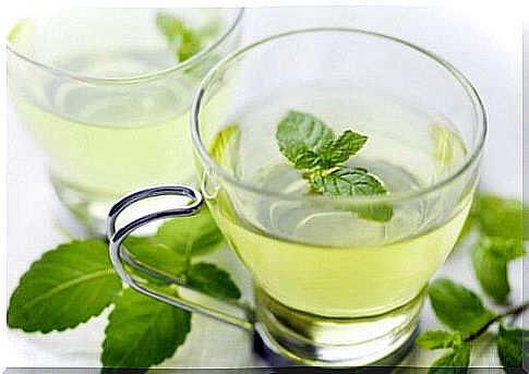 Cup of mint tea