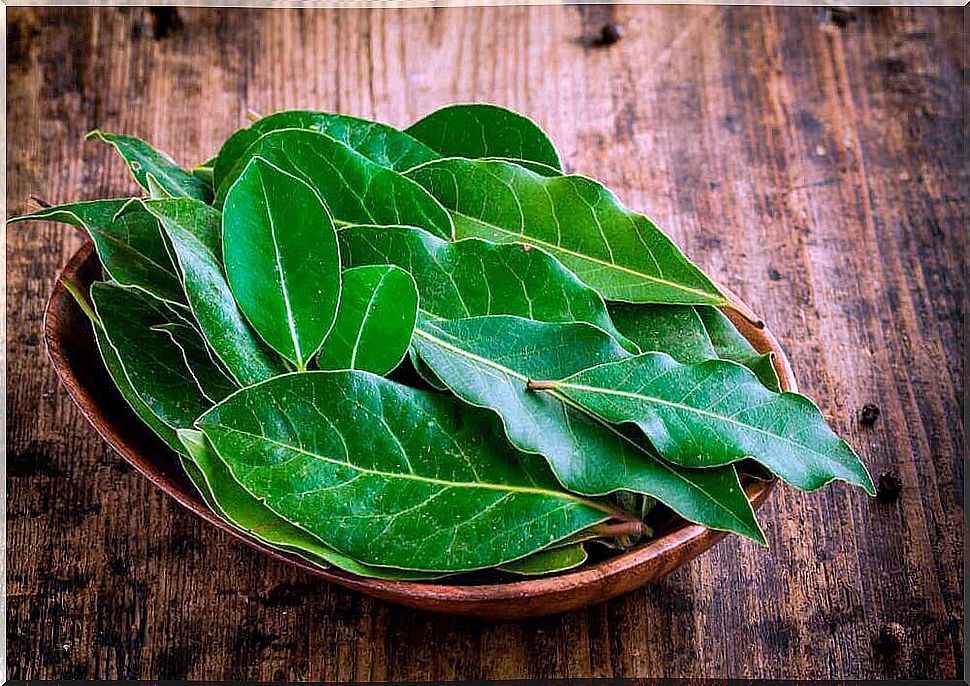 Bowl with bay leaves