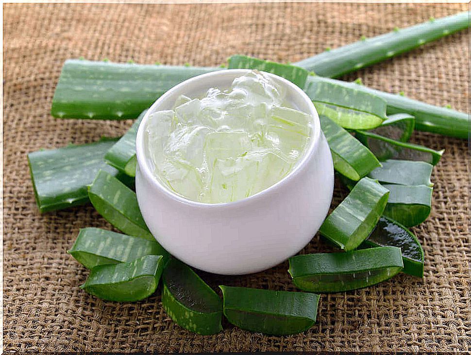 5 properties of aloe vera, a valuable resource to have at home