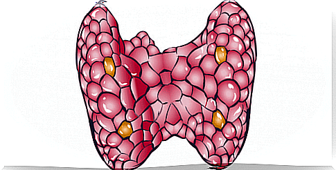 5 Thyroid Treatments You Can Do At Home