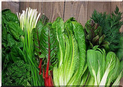 different types of green leafy vegetables