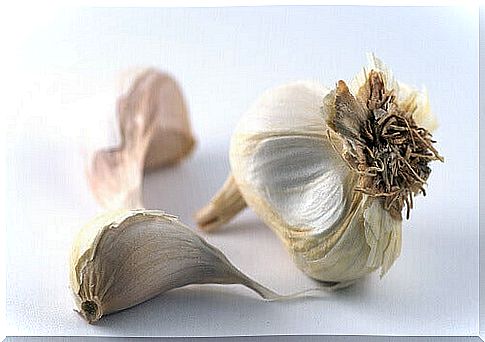 cloves of garlic