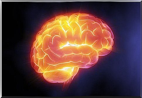 7 tips to keep your brain sharp