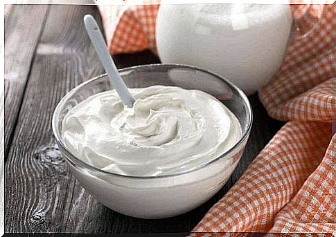 Vegetable yogurt