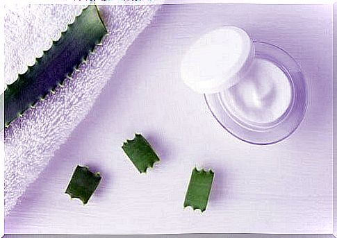 A rejuvenating cream with aloe vera