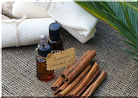 Burn belly fat with cinnamon oil