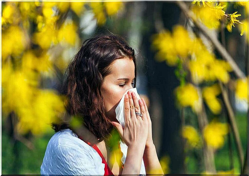 Causes of Seasonal Allergies