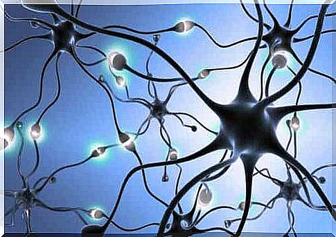 An image of a neuron network in the body