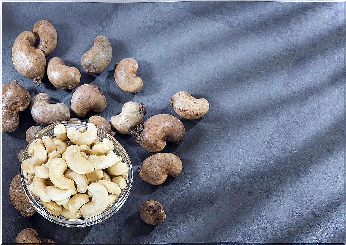 Bowl of cashew nuts