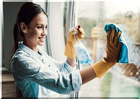 A woman cleaning her windows