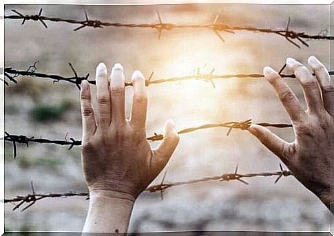 Hands against the barbed wire