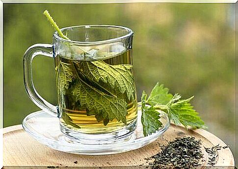 Drinking nettle tea is one of the things you should do for knee pain