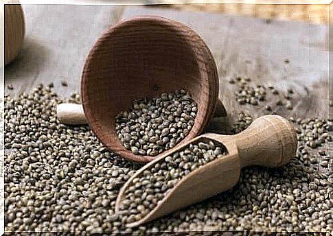 Loose hemp seeds