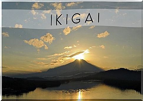 Ikigai: the reason for existence, the Japanese secret of a better life