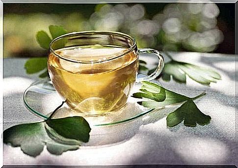 Ginkgo Biloba tea helps your circulation