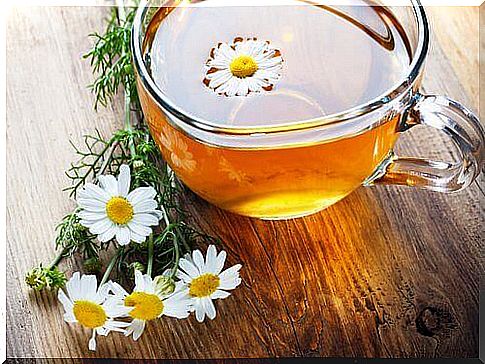 cup of chamomile tea