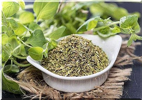 Oregano