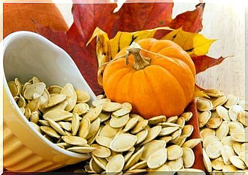 pumpkin seeds