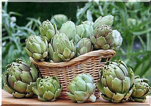 Basket of artichokes