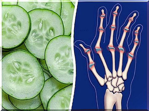 Healthy Food for Joint Pain