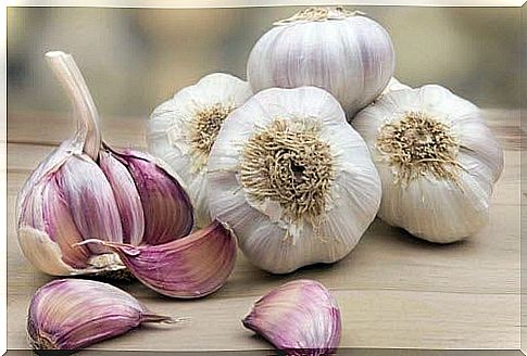 garlic and cloves of garlic