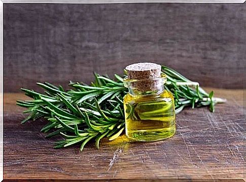 rosemary and bottle of rosemary oil