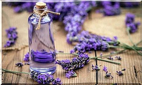 lavender and bottle of lavender oil