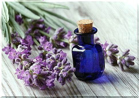 Lavender to sleep better