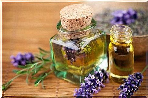 Lavender essential oil is ideal against fleas