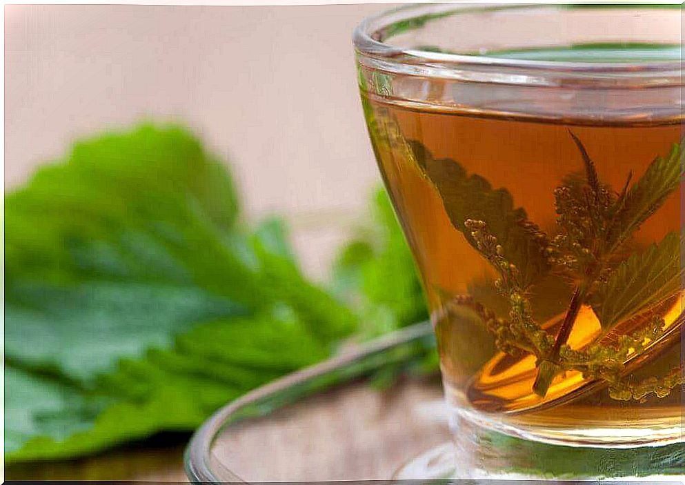 nettle tea