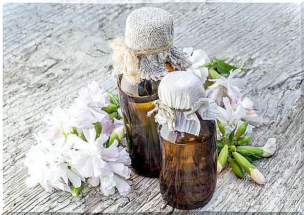 Bottles of essential oil