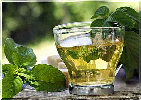 A cup of mint tea