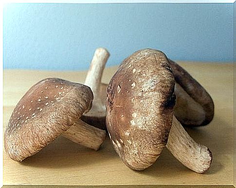 Mushrooms are a good sign of cancer