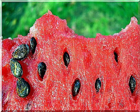 piece of watermelon