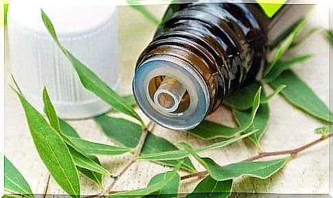 tea tree oil