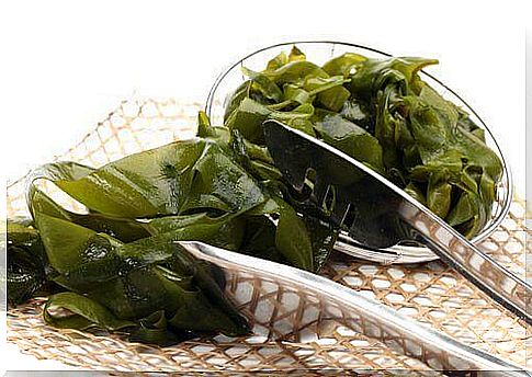 Seaweed on a bowl