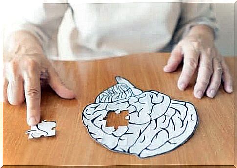 Puzzle of the human brain