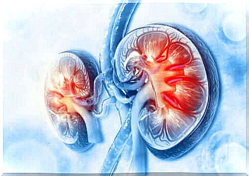 The effect of a diuretic on your kidneys