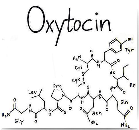 What is the hormone oxytocin?