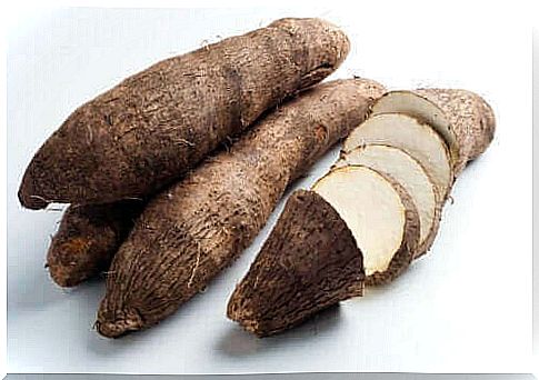 What is wild yam and what are its properties?