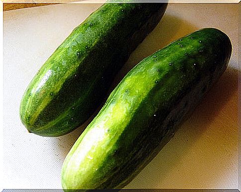 cucumber3